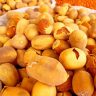 لالوب سوداني